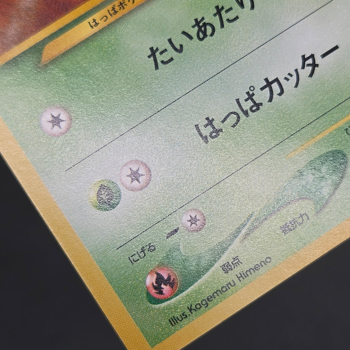 Chikorita No. 152 Intro Pack Promo Half Deck Pokémon Card