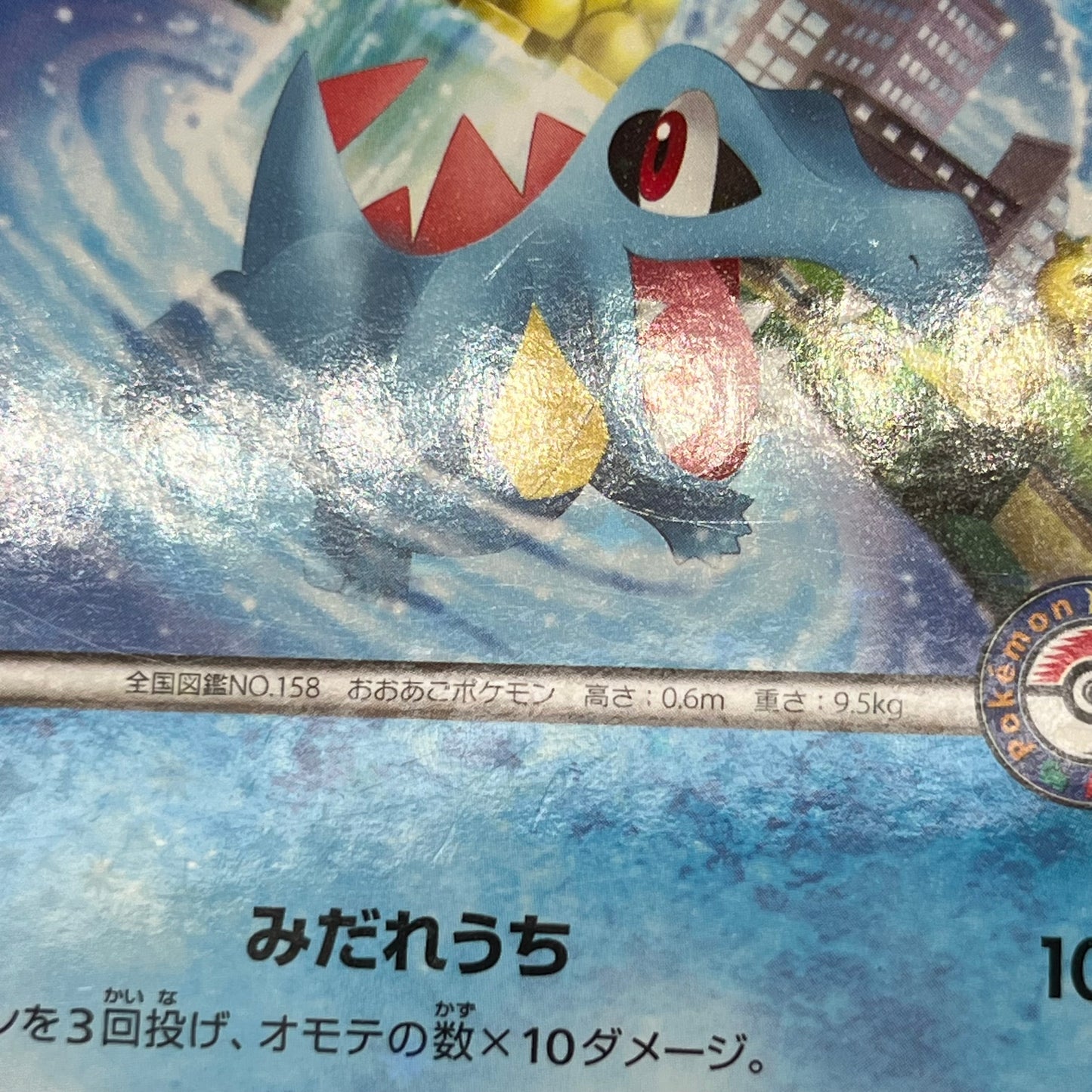 Totodile 226/XY-P Special Set Promo Japanese Pokémon Card