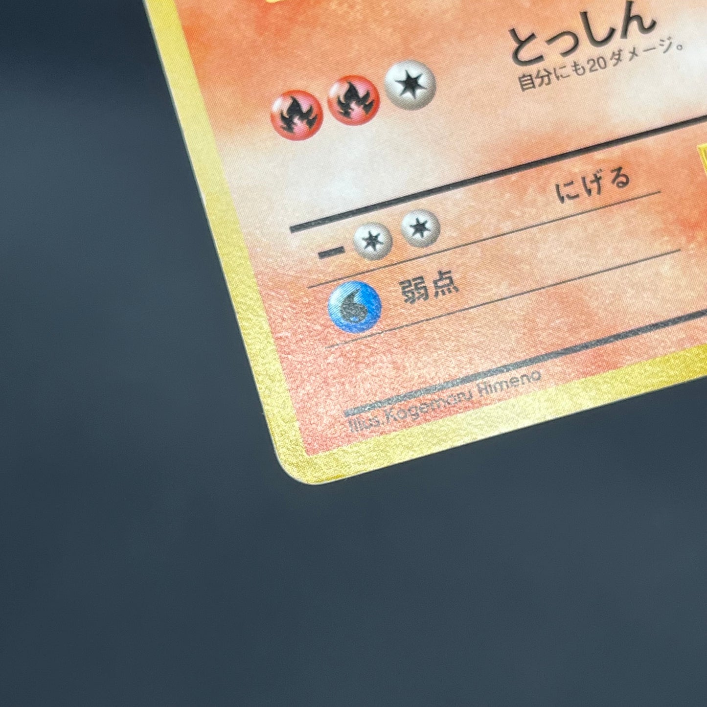 Arcanine No. 059 Intro Pack Squirtle Japanese Pokémon Card