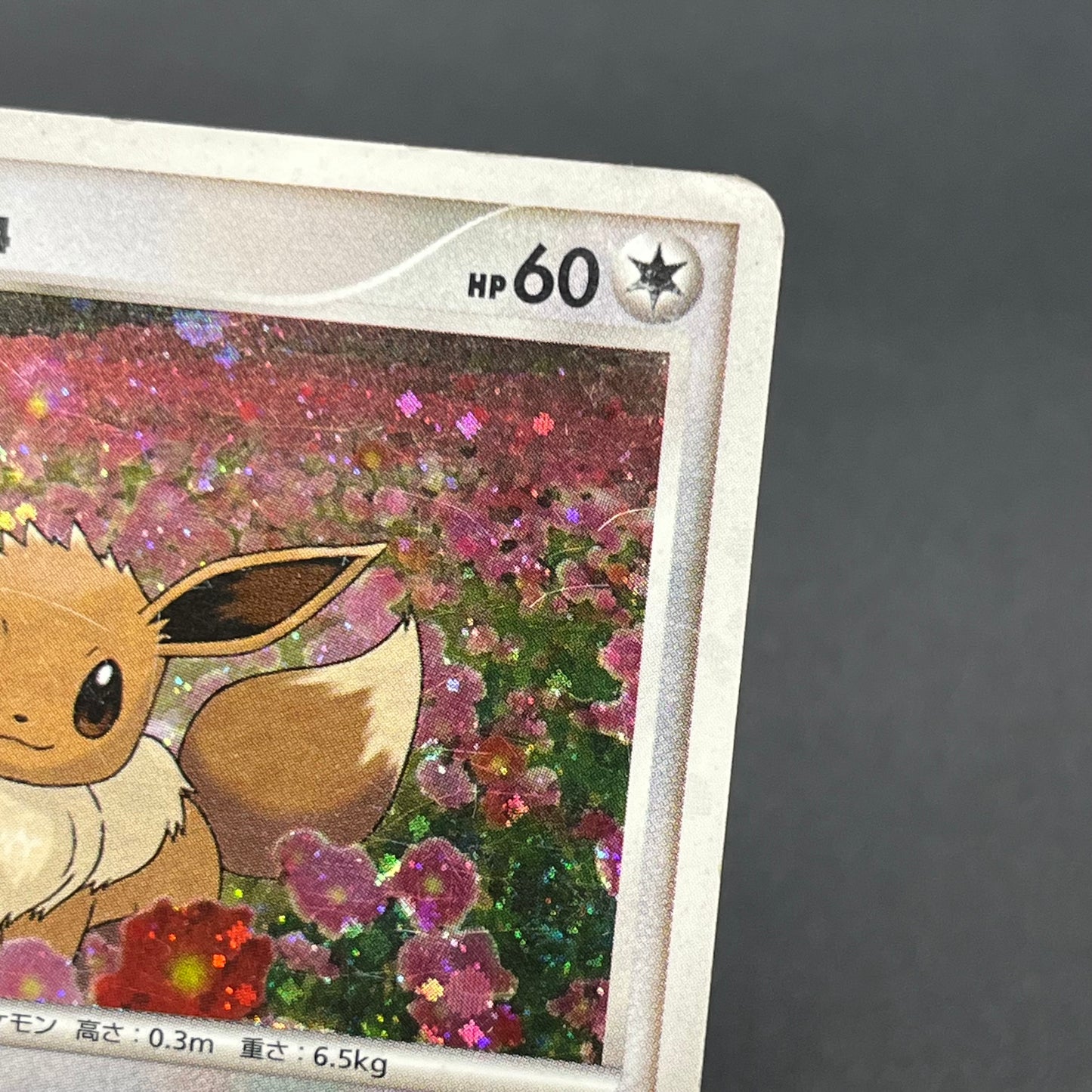 Eevee 063/DP-P Promo Trade Please event Pokémon Card