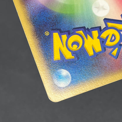 PokePark's Mudkip 048/PCG-P Promo Japanese Pokemon Card
