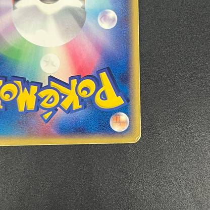 Blaziken ex 018/080 EX Team Magma vs Aqua Pokemon Card
