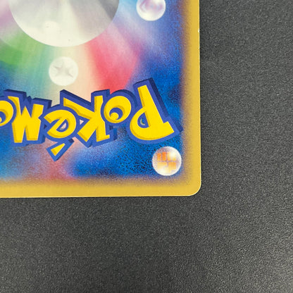 PokePark's Mudkip 048/PCG-P Promo Japanese Pokemon Card