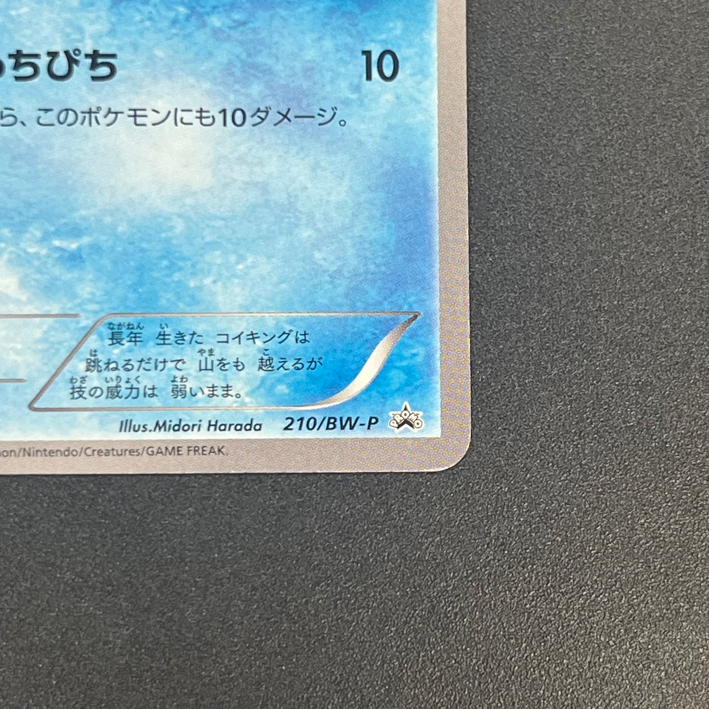 Magikarp Gym Challenge Promo 210/BW-P Japanese Card