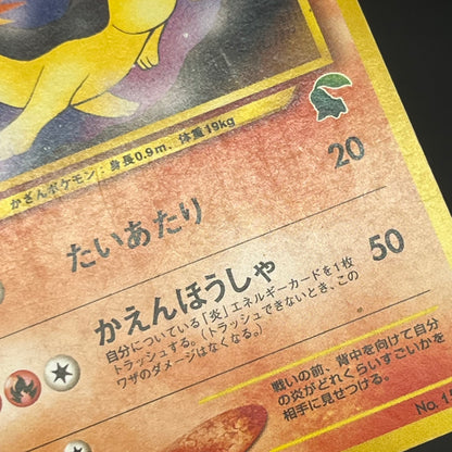 Quilava 156 Intro Pack Chikorita Half Deck Pokémon Card