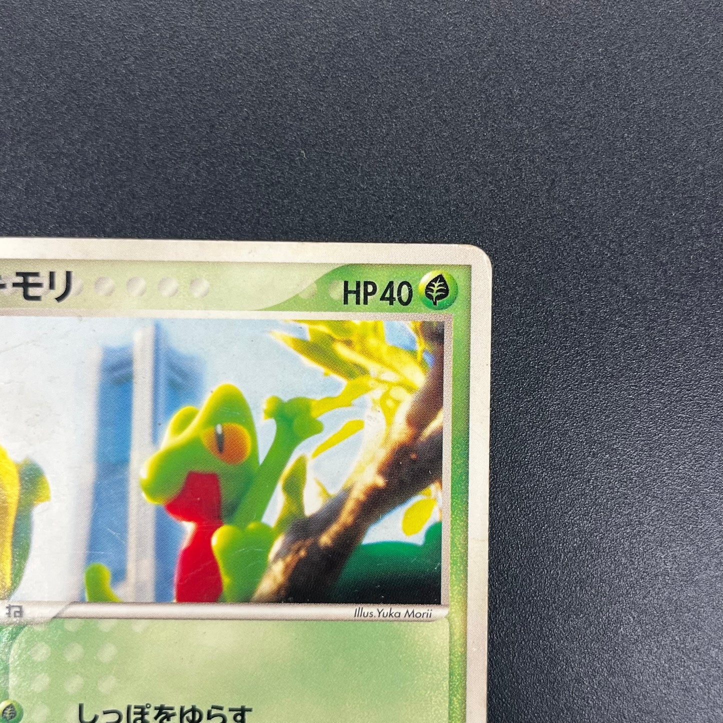 Treecko 037/PCG-P HP Yokohama Center Opening Pokémon Card