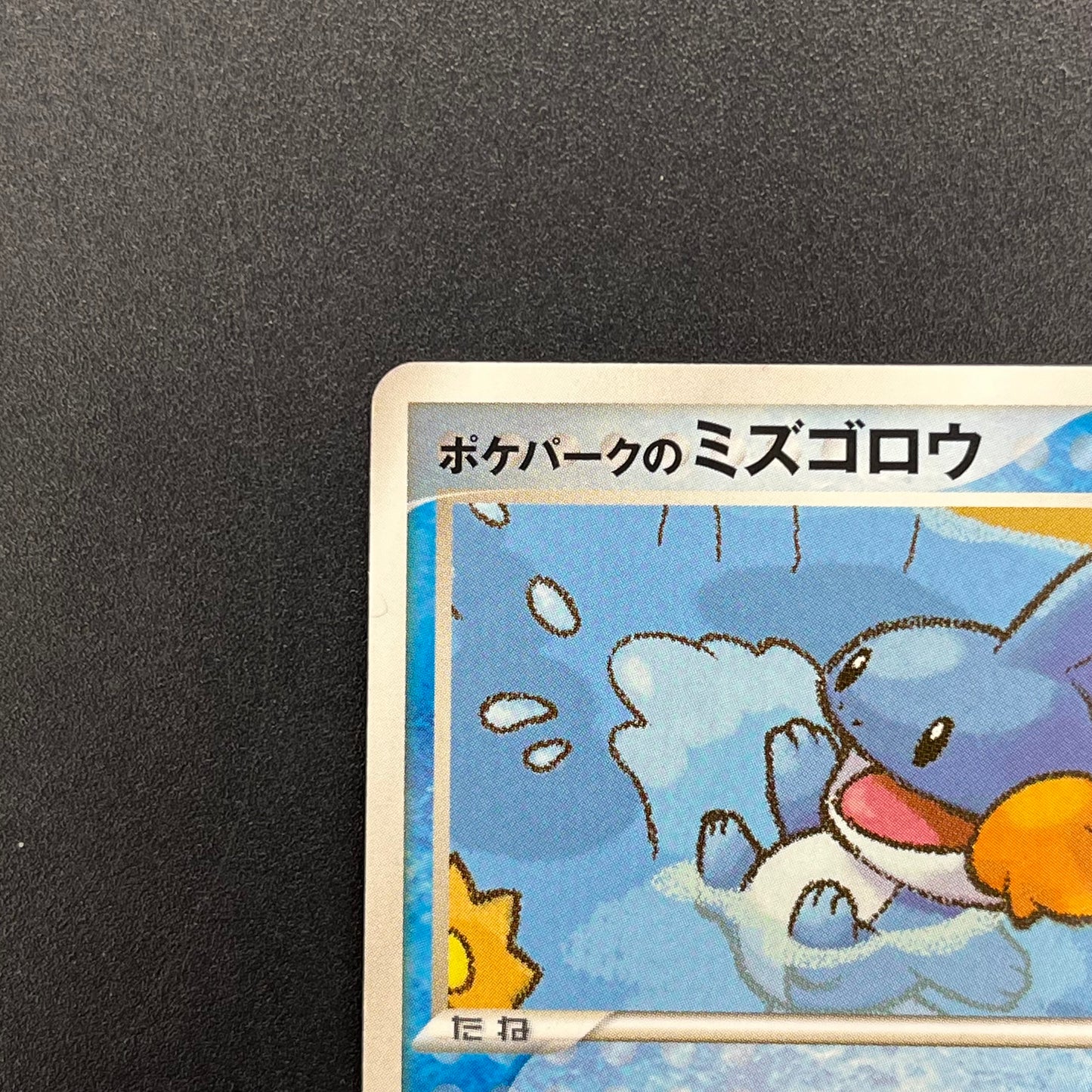 Pokepark's Mudkip 003/009 Pokepark Forest MP Pokémon Card