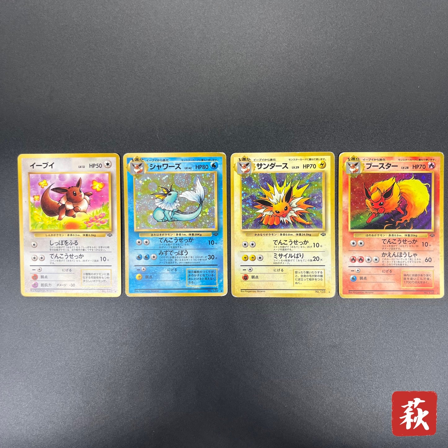 Jolteon Vaporeon Flareon Jungle Holo Old Back Pokémon Card