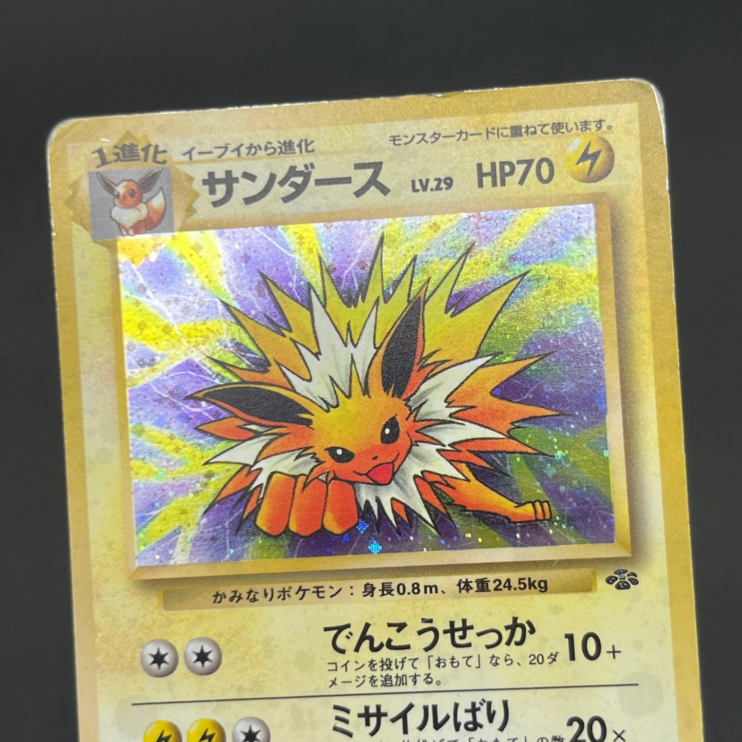Jolteon Vaporeon Flareon Jungle Holo Old Back Pokémon Card