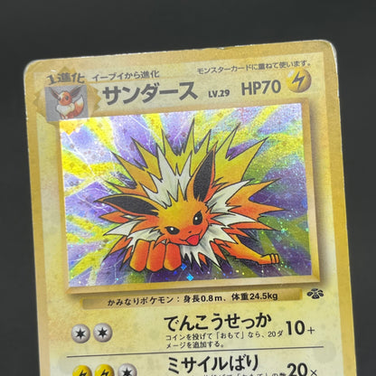 Jolteon Vaporeon Flareon Jungle Holo Old Back Pokémon Card