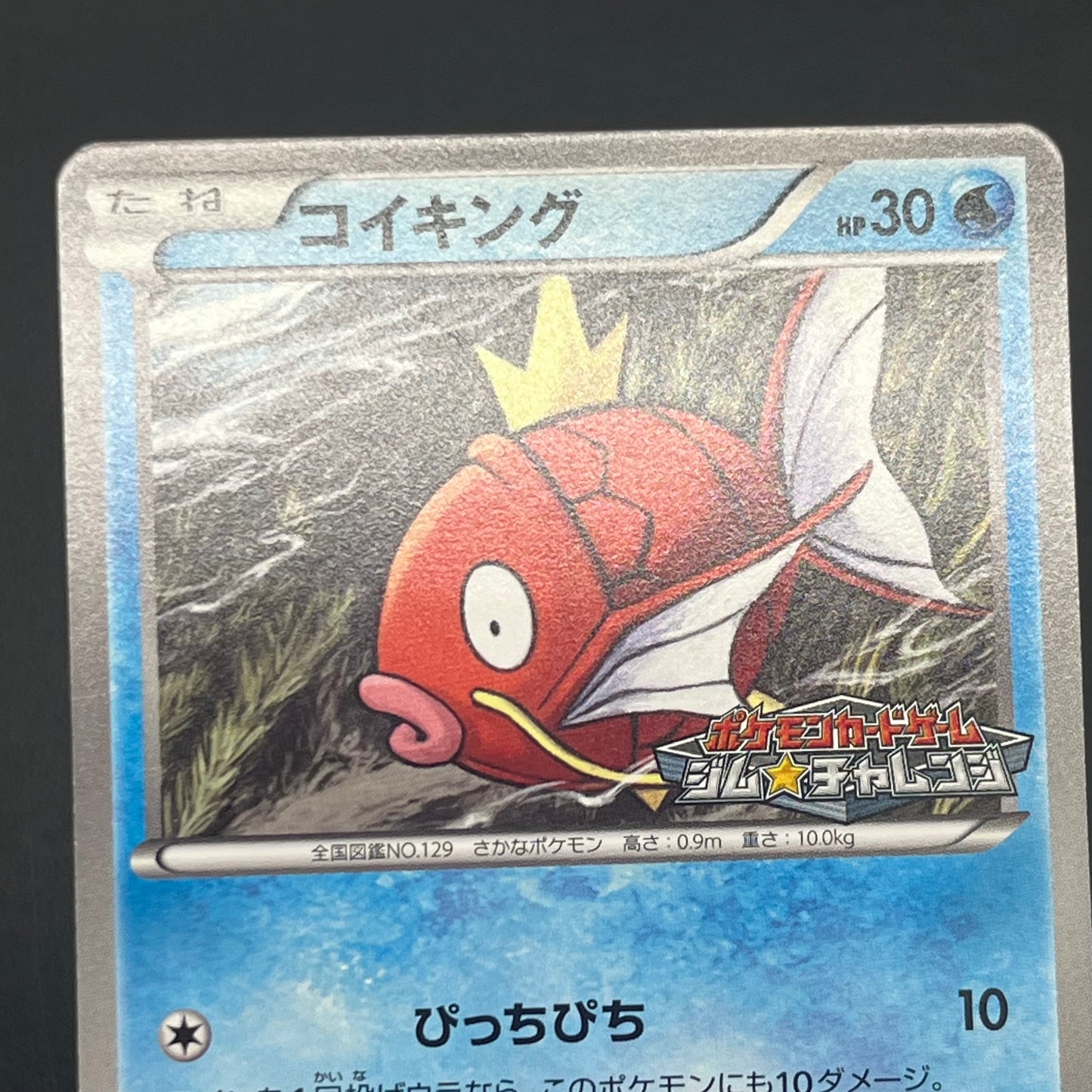 Magikarp Gym Challenge Promo 210/BW-P Japanese Card