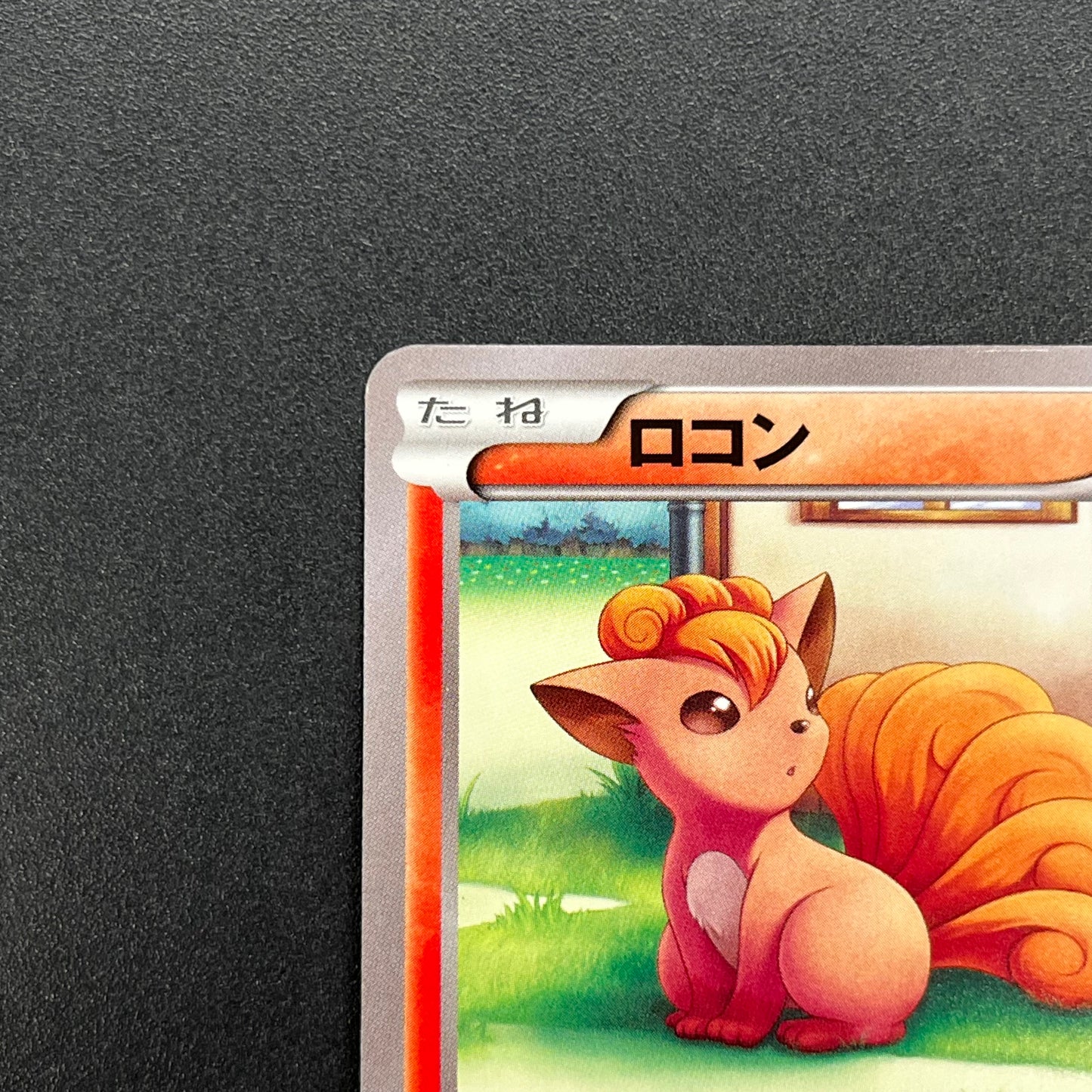 Vulpix 110/XY-P Promo Gym 4th Japanese Pokémon Card