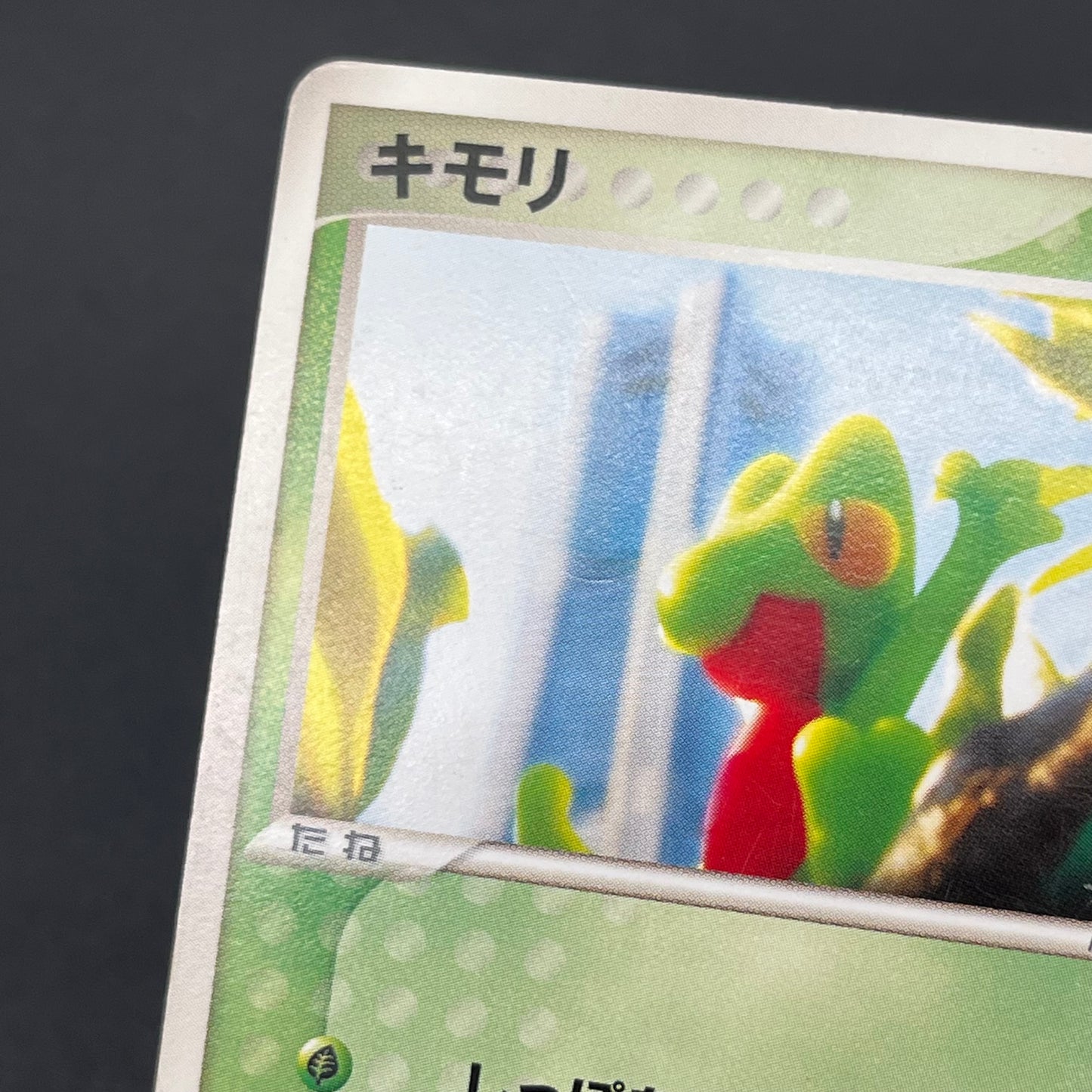 Treecko 037/PCG-P Yokohama Center Opening Pokémon Card