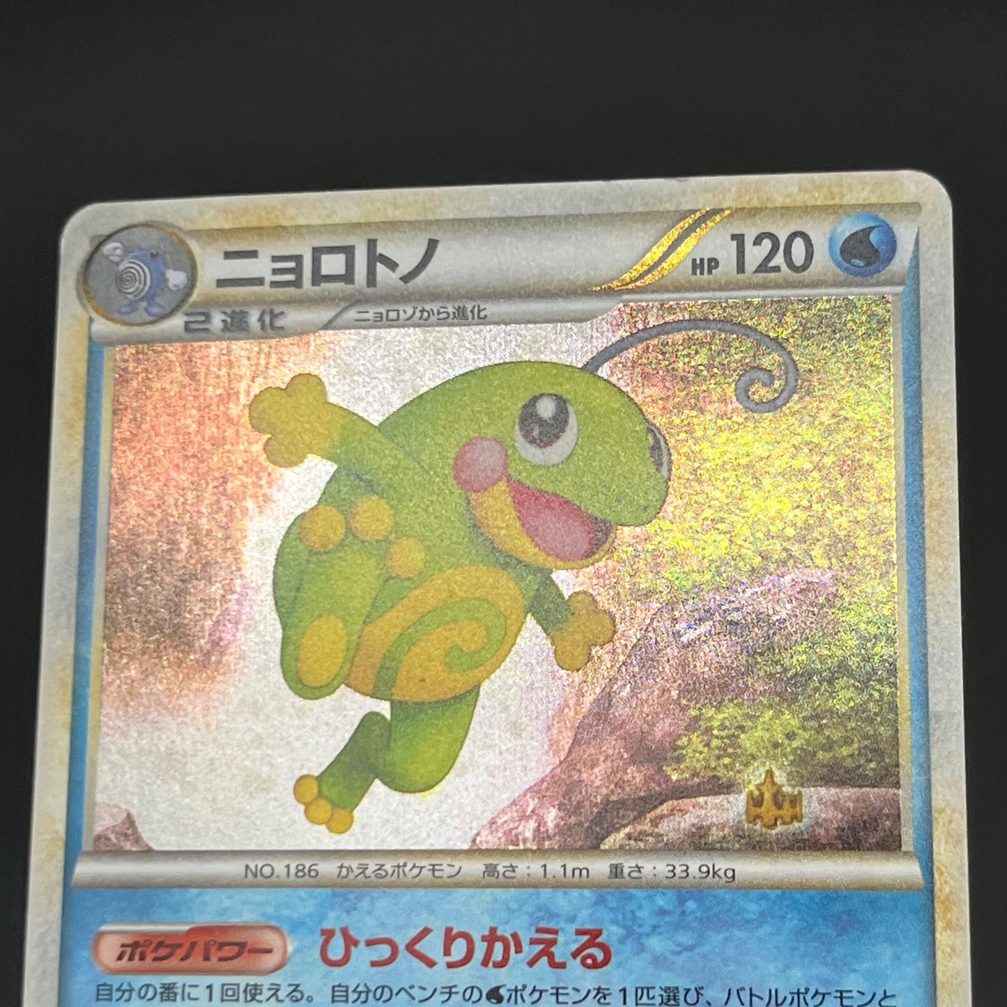 Politoed ex 027/106 & Politoed L1 etc 3set Pokemon Card