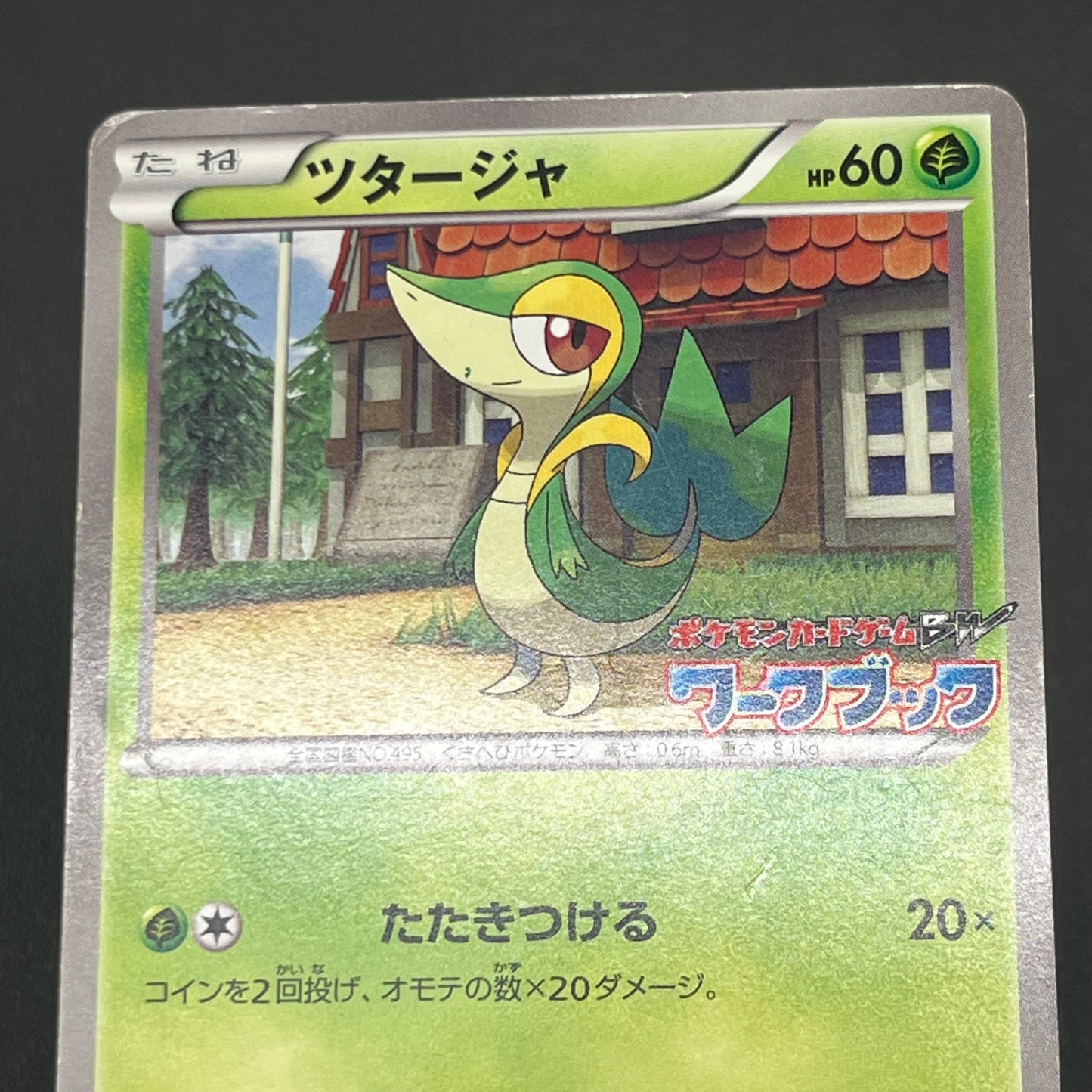 Oshawott Tepig Snivy BW-P Workbook Promo 3set Pokemon Card