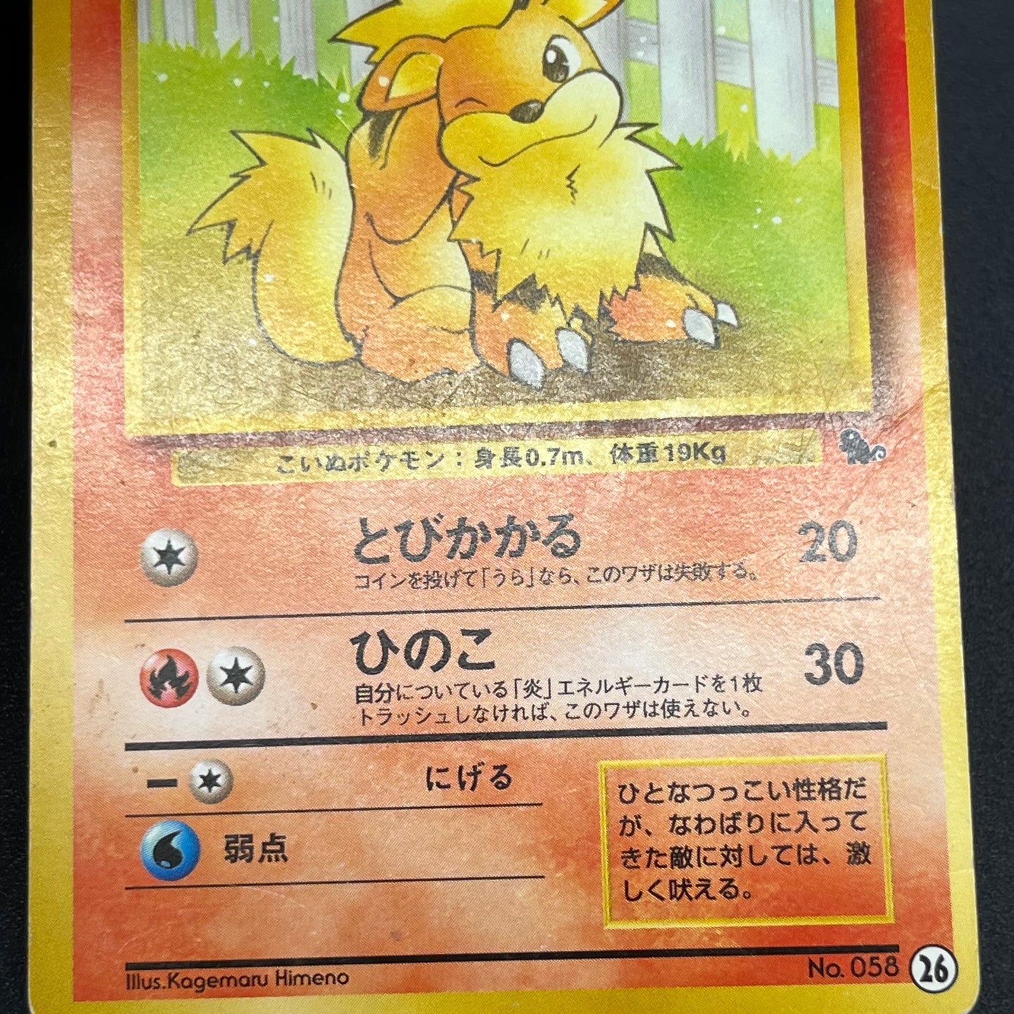 Growlith No. 058 Intro Pack Squirtle Japanese Pokémon Card
