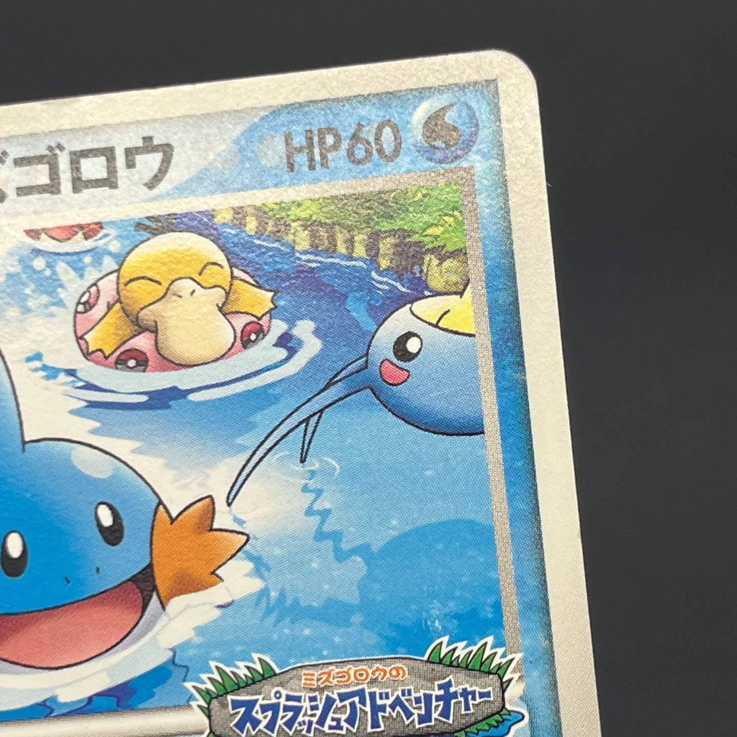 PokePark's Mudkip 048/PCG-P Promo Japanese Pokemon Card
