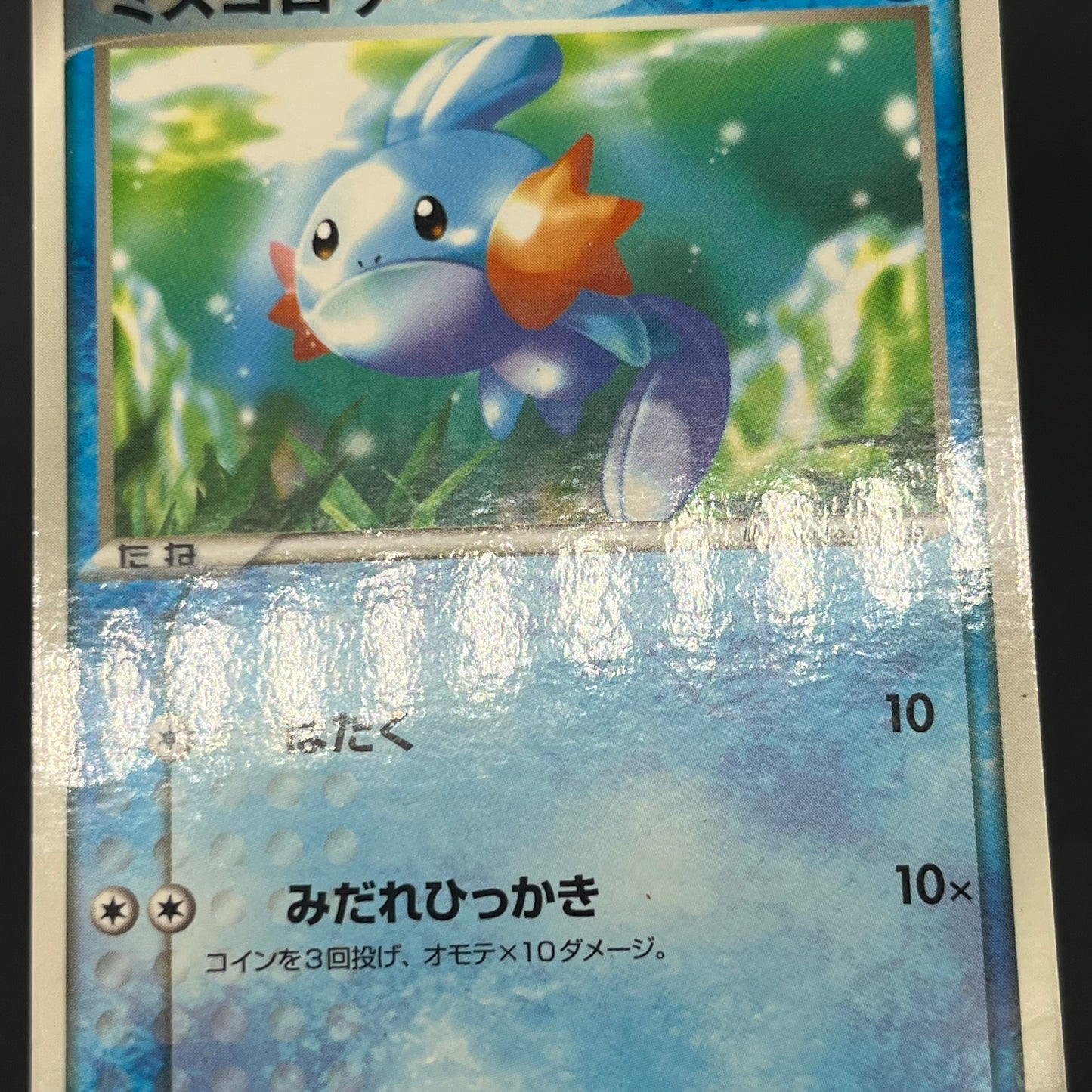 Treecko Torchic Mudkip 005/ADV-P McDonald's Pokémon Card