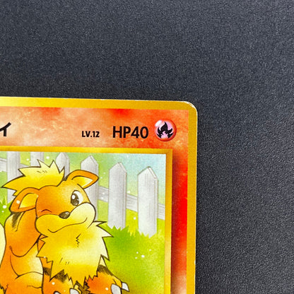 Growlith No. 058 Intro Pack Squirtle Japanese Pokémon Card
