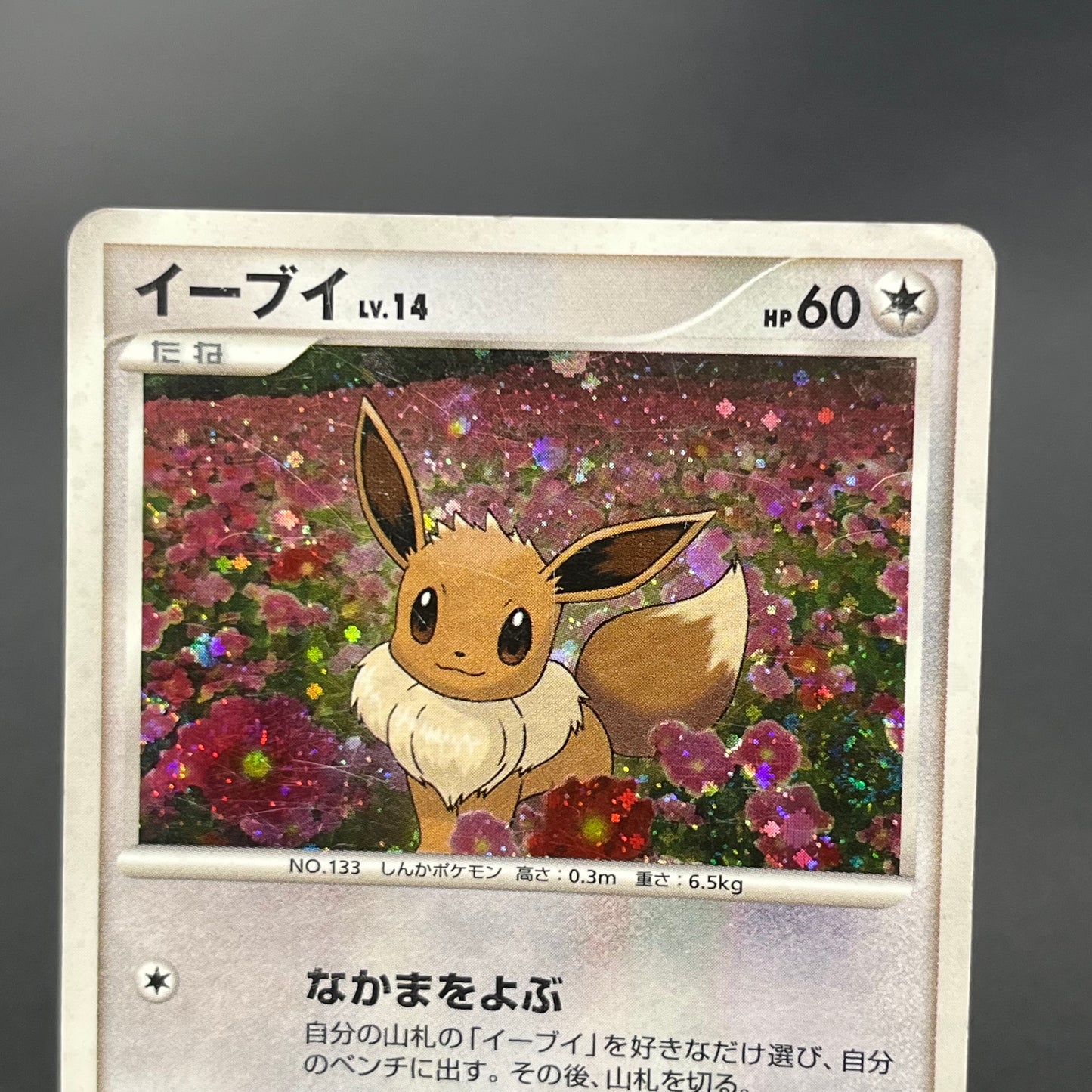 Eevee 063/DP-P Promo Trade Please event Pokémon Card