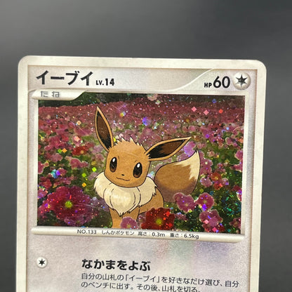 Eevee 063/DP-P Promo Trade Please event Pokémon Card