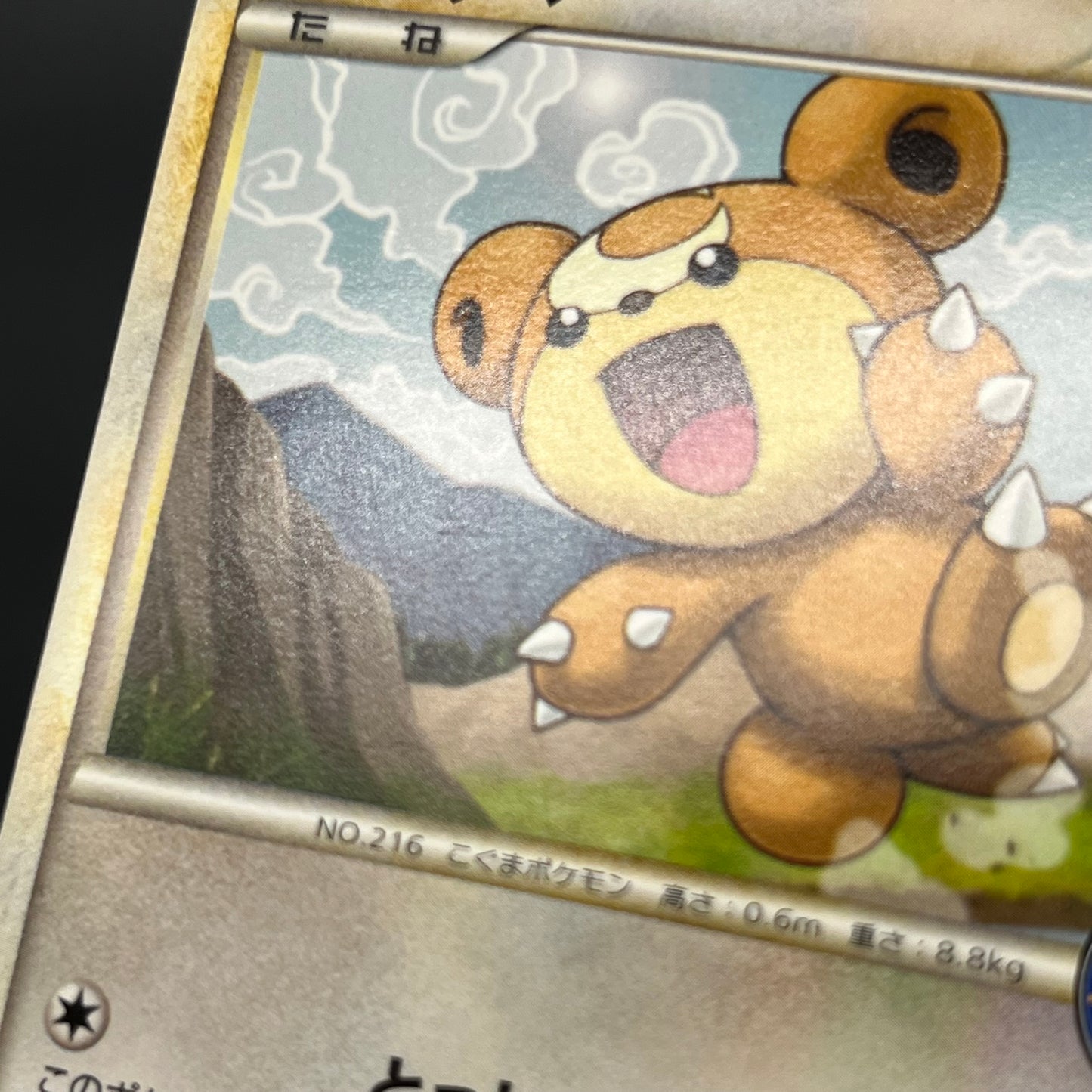Teddiursa 039/L-P Pokemon Center Promo Pokemon Card