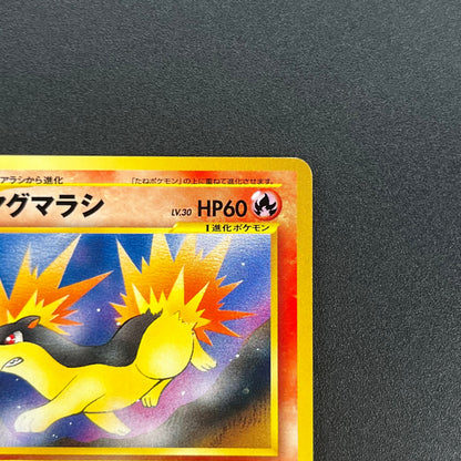 Quilava 156 Intro Pack Chikorita Half Deck Pokémon Card