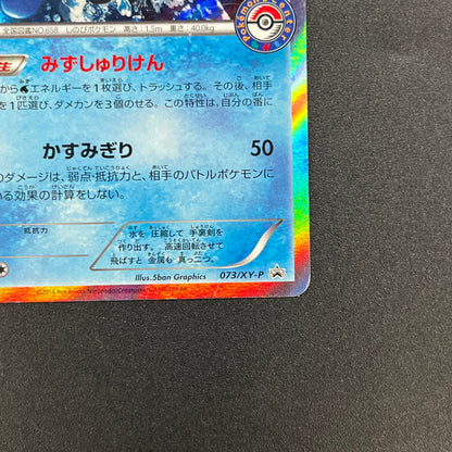 Greninja 073/XY-P Promo Game Summer Vacation Pokemon Card