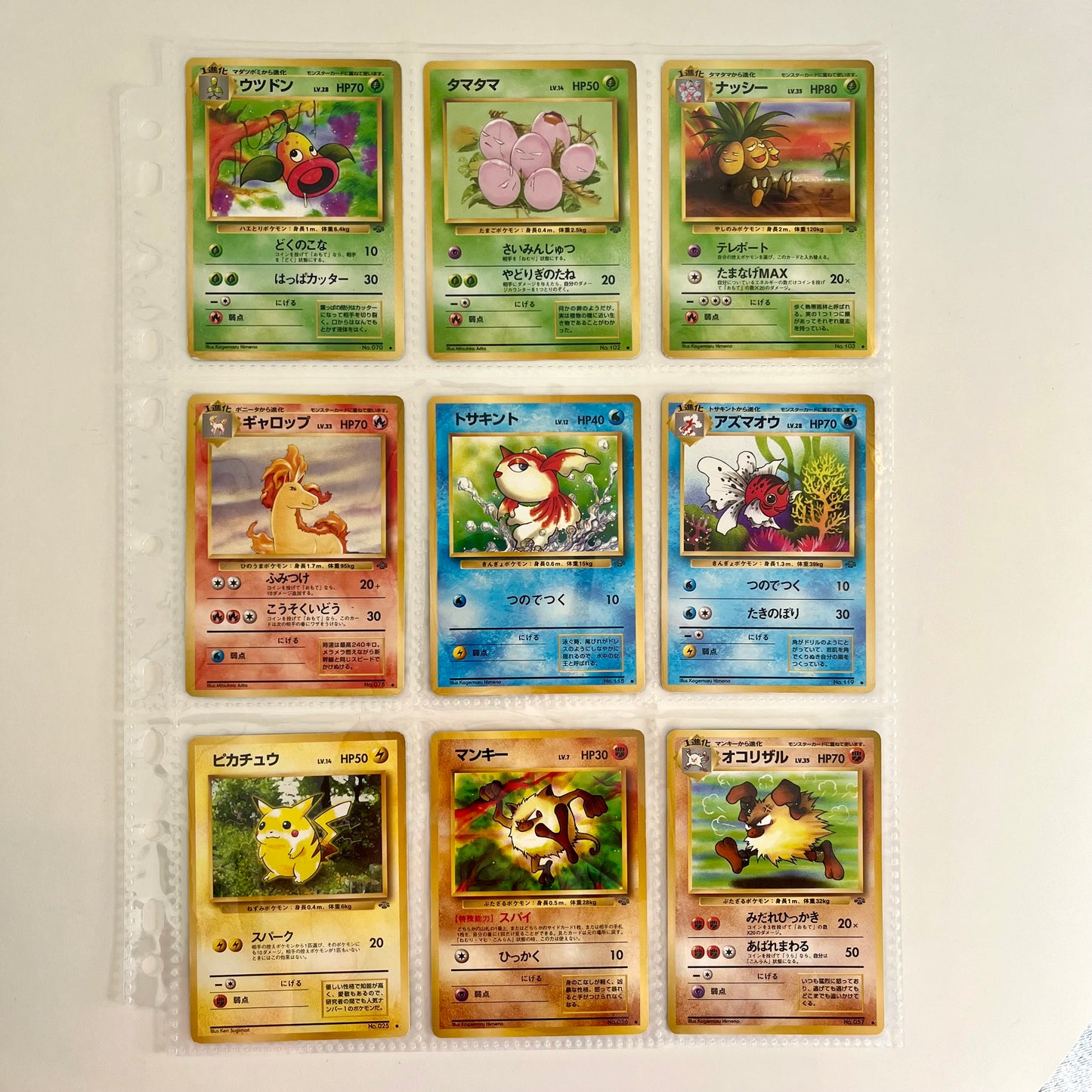 Jungle Normal 31set Complete Japanese Pokémon Card
