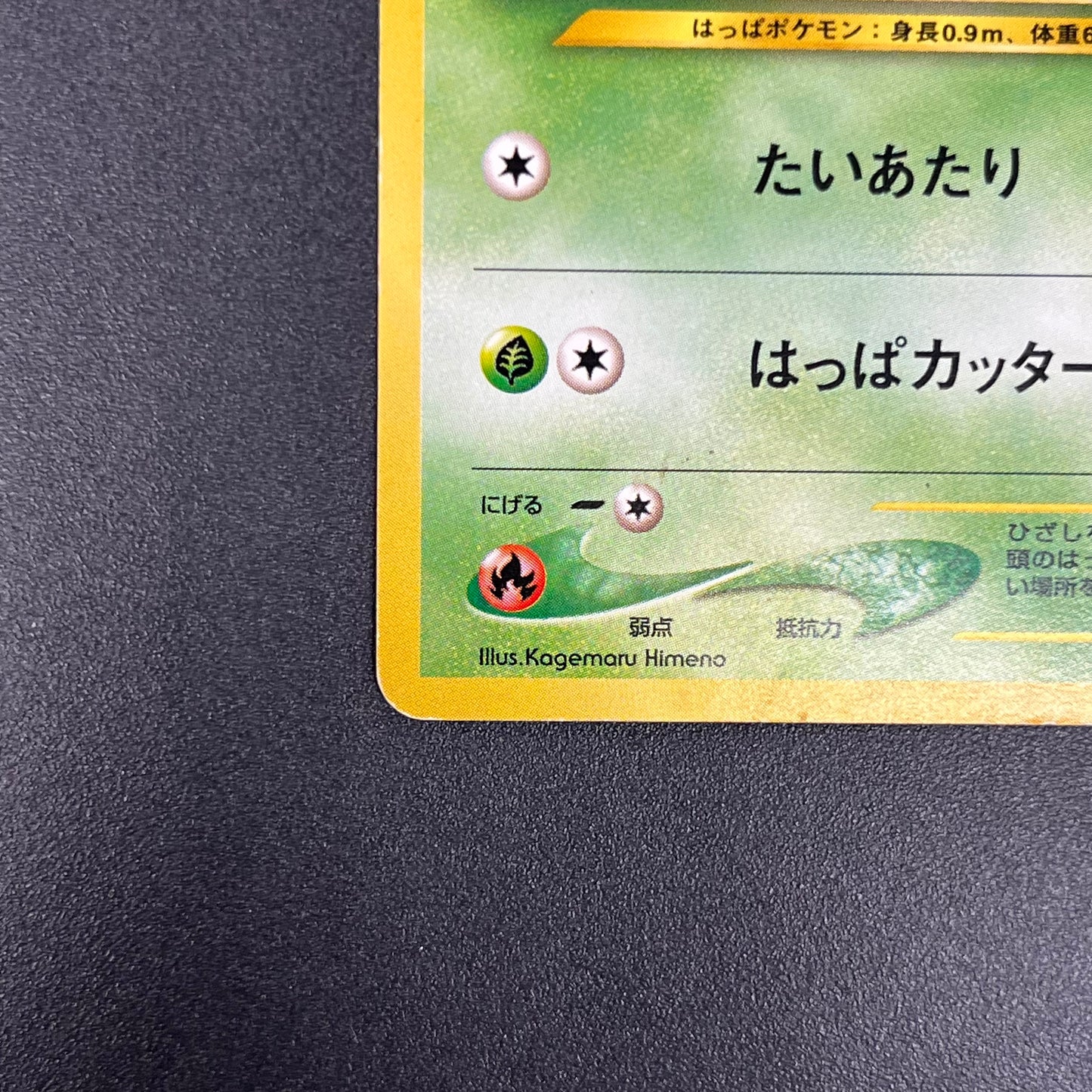 Chikorita No. 152 Intro Pack Promo Half Deck Pokémon Card