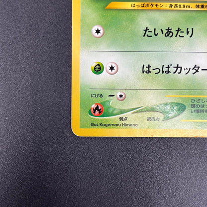 Chikorita No. 152 Intro Pack Promo Half Deck Pokémon Card