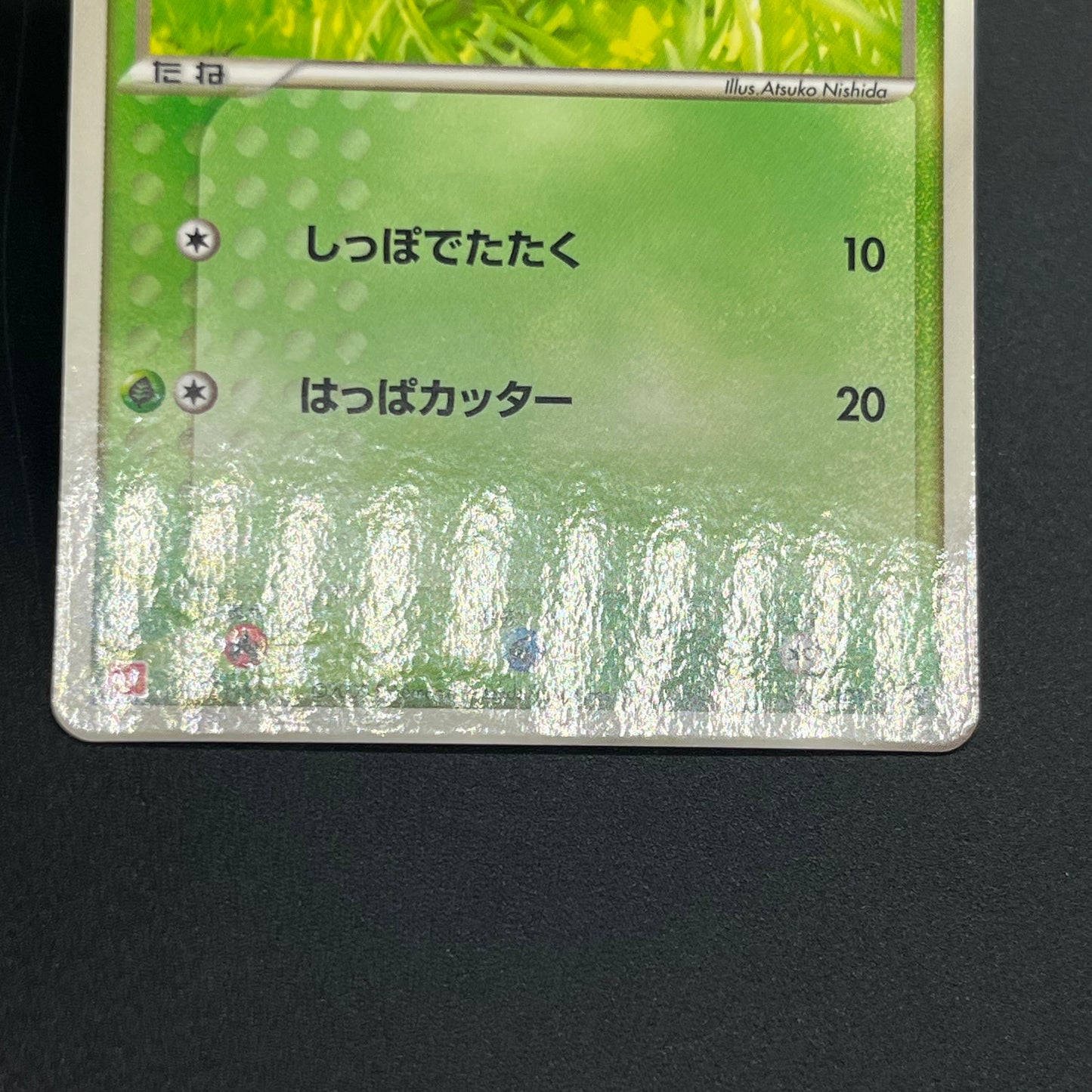 Treecko Torchic Mudkip 005/ADV-P McDonald's Pokémon Card