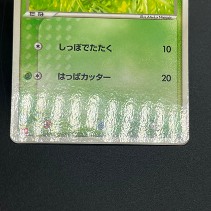 Treecko Torchic Mudkip 005/ADV-P McDonald's Pokémon Card