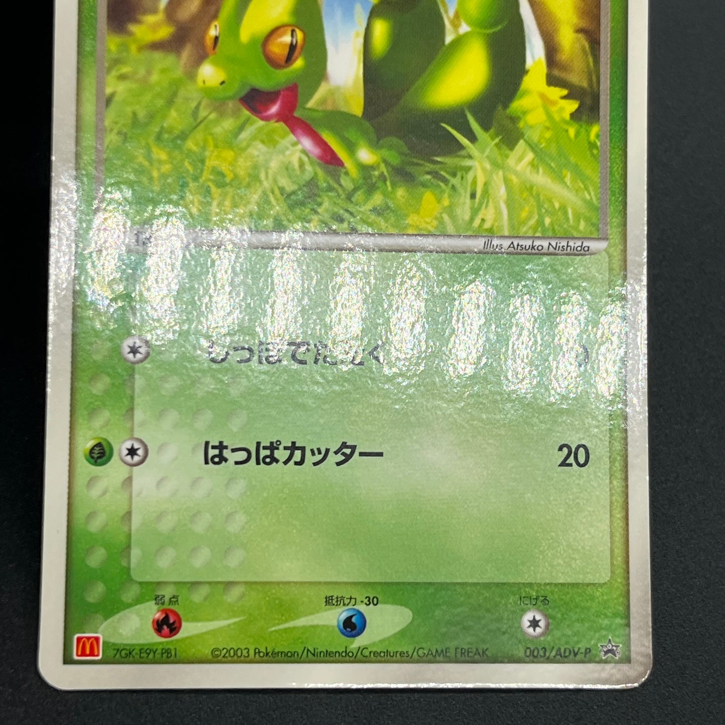 Treecko Torchic Mudkip 005/ADV-P McDonald's Pokémon Card