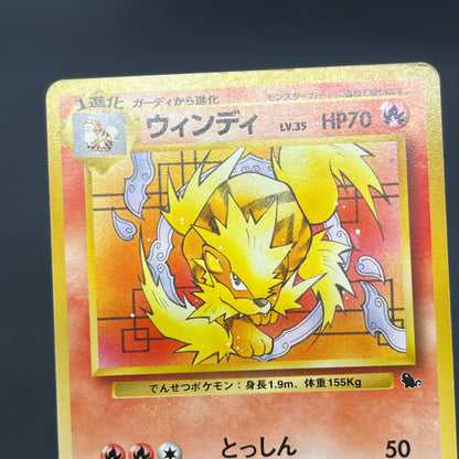 Arcanine No. 059 Intro Pack Squirtle Japanese Pokémon Card
