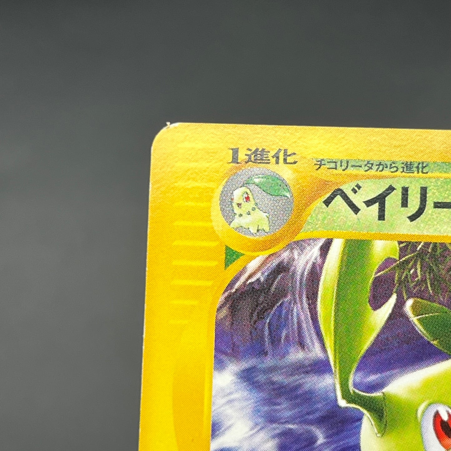 Quilava 008/T Bayleef Trainers Vol. 16 magazine Promo Card