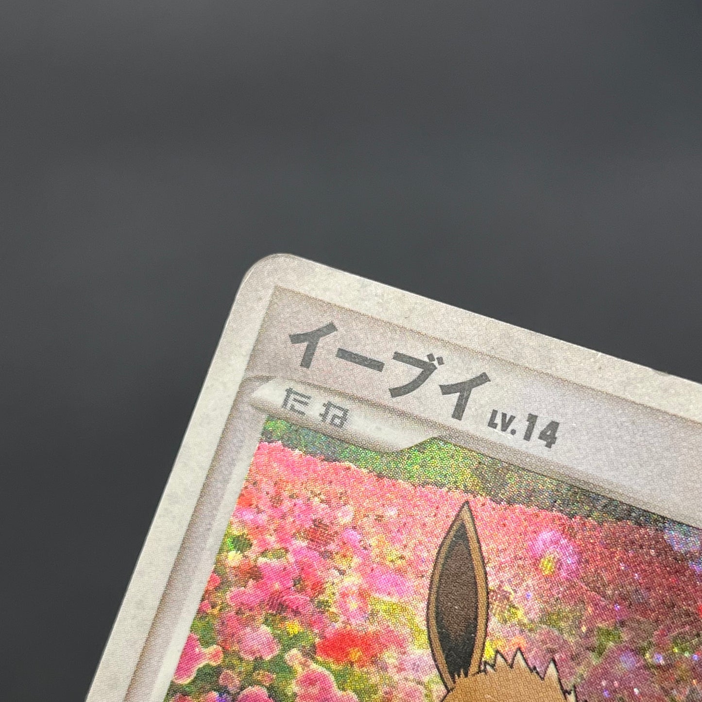 Eevee 063/DP-P Promo Trade Please event Pokémon Card