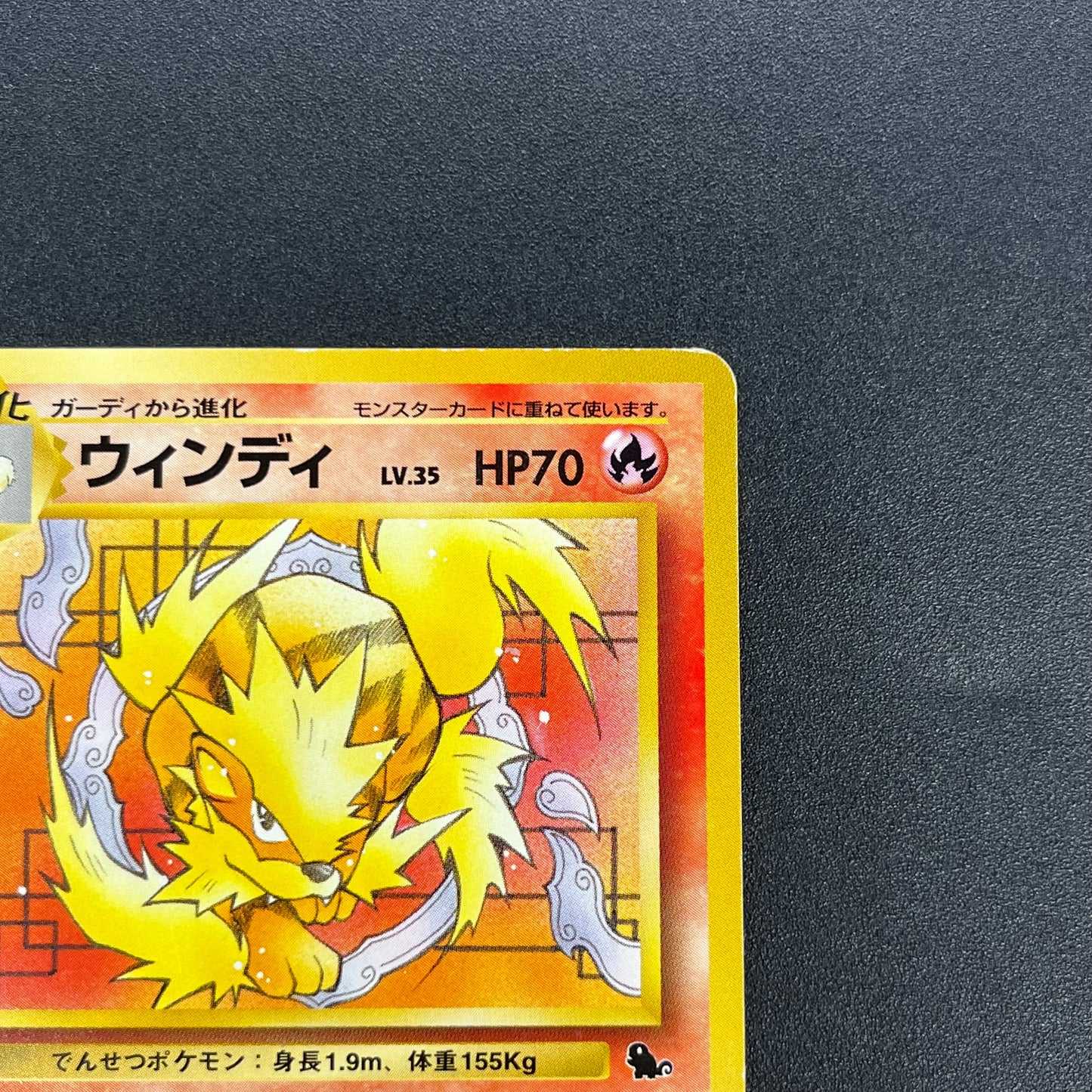 Arcanine No. 059 Intro Pack Squirtle Japanese Pokémon Card