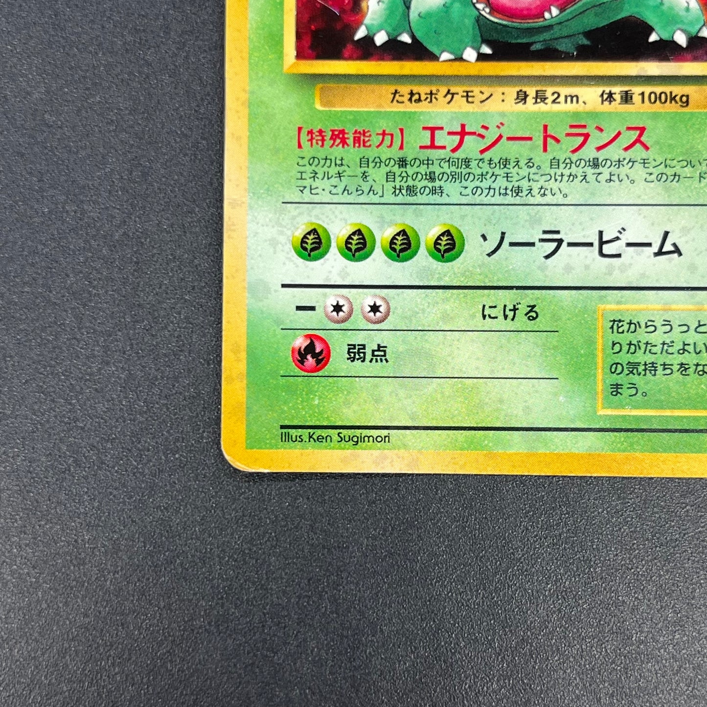Venusaur 003 Intro Pack Bulbasaur Deck Holo Pokemon Card
