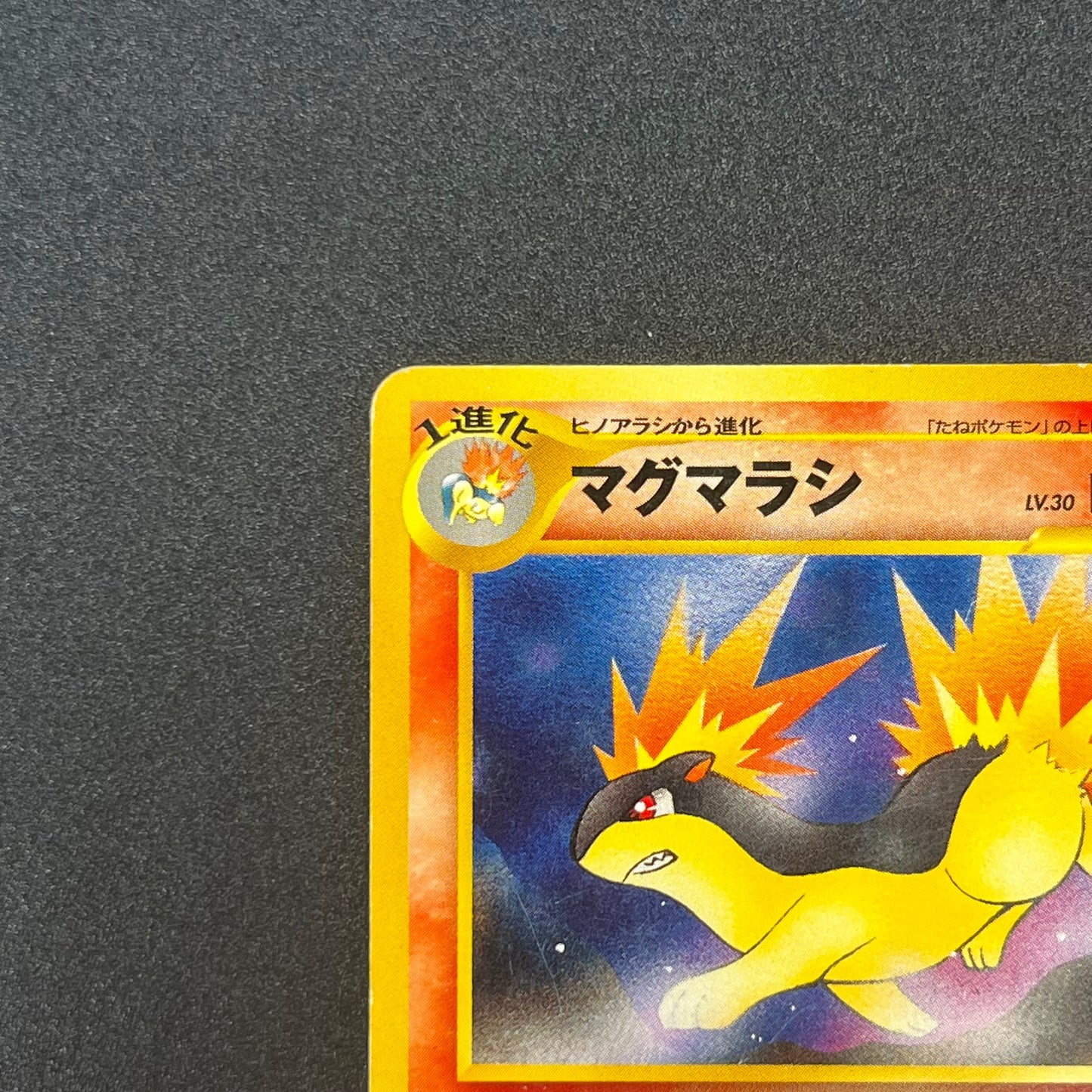 Quilava 156 Intro Pack Chikorita Half Deck Pokémon Card
