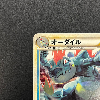 Feraligatr 002/L-P HeartGold SoulSilver Promo Pokémon Card