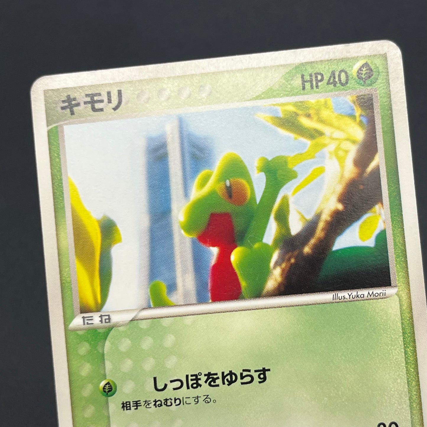 Treecko 037/PCG-P Yokohama Center Opening Pokemon Card