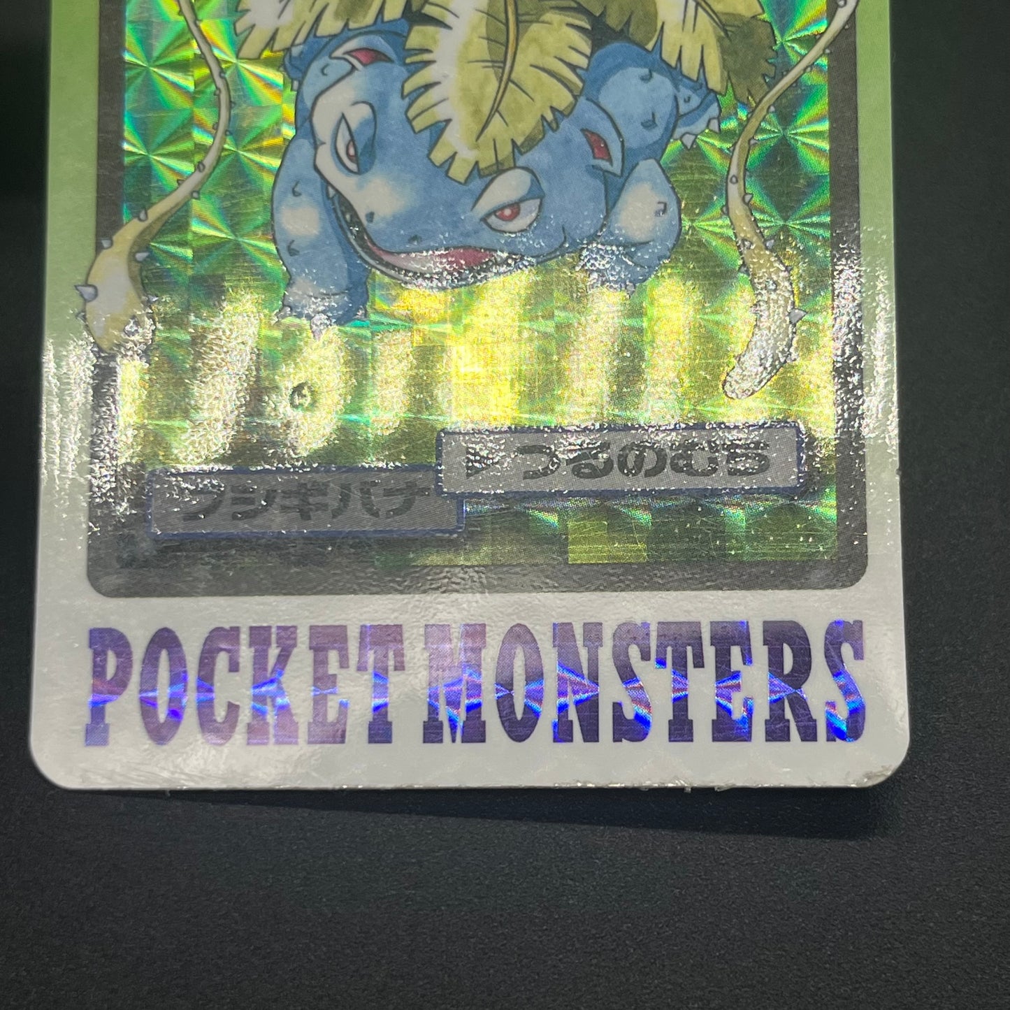 Blastoise Venusaur Bandai Carddass Holo Pokémon Card