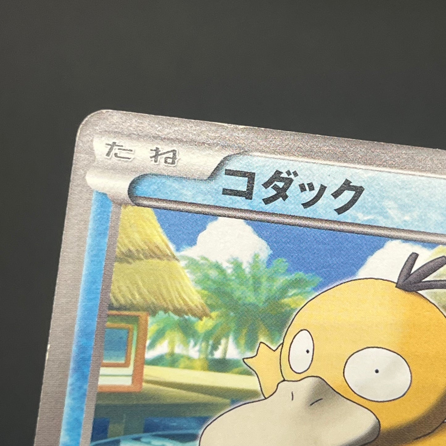 Psyduck 167/BW-P Gym Challenge Promo Japanese Pokémon Card