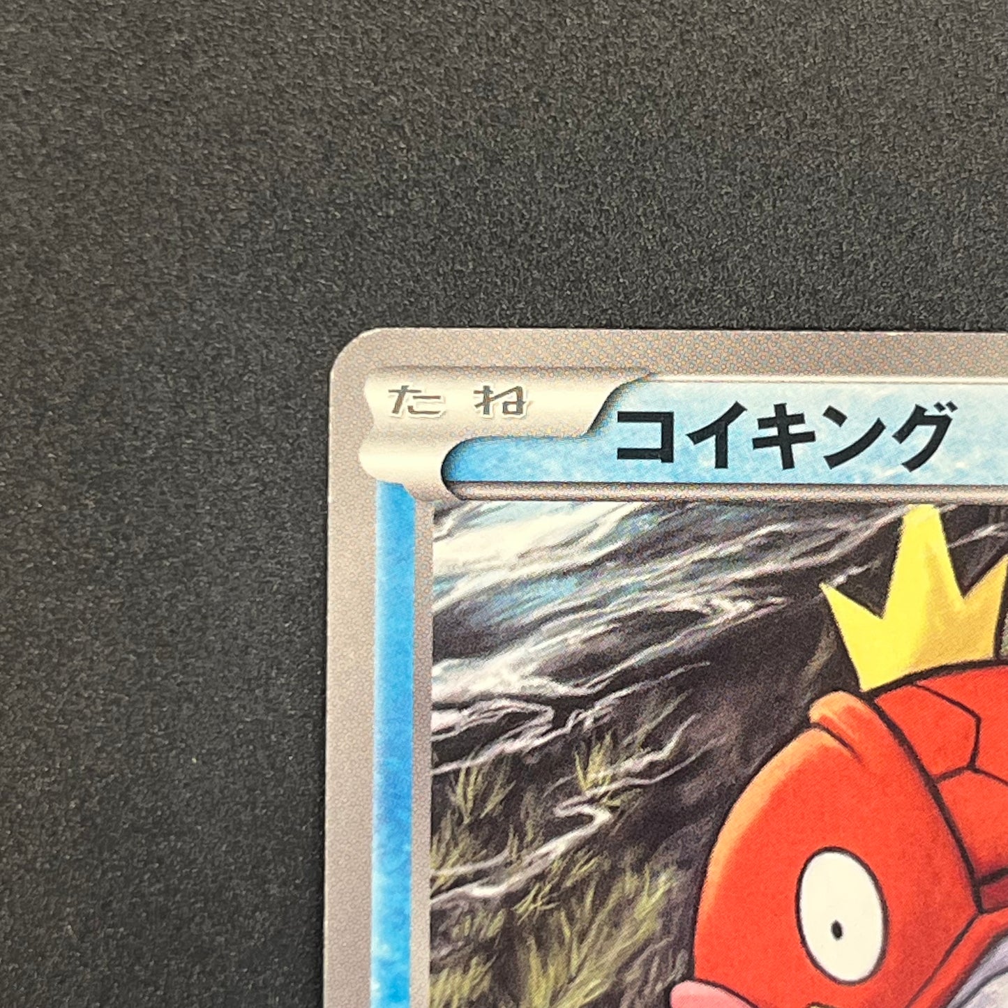 Magikarp Gym Challenge Promo 210/BW-P Japanese Card