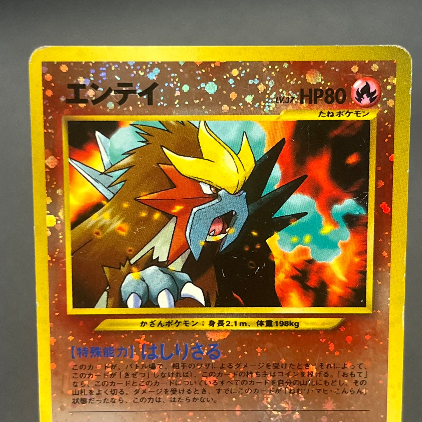 Charizard Pichu & Entei Promo Neo Premium File 2 Card