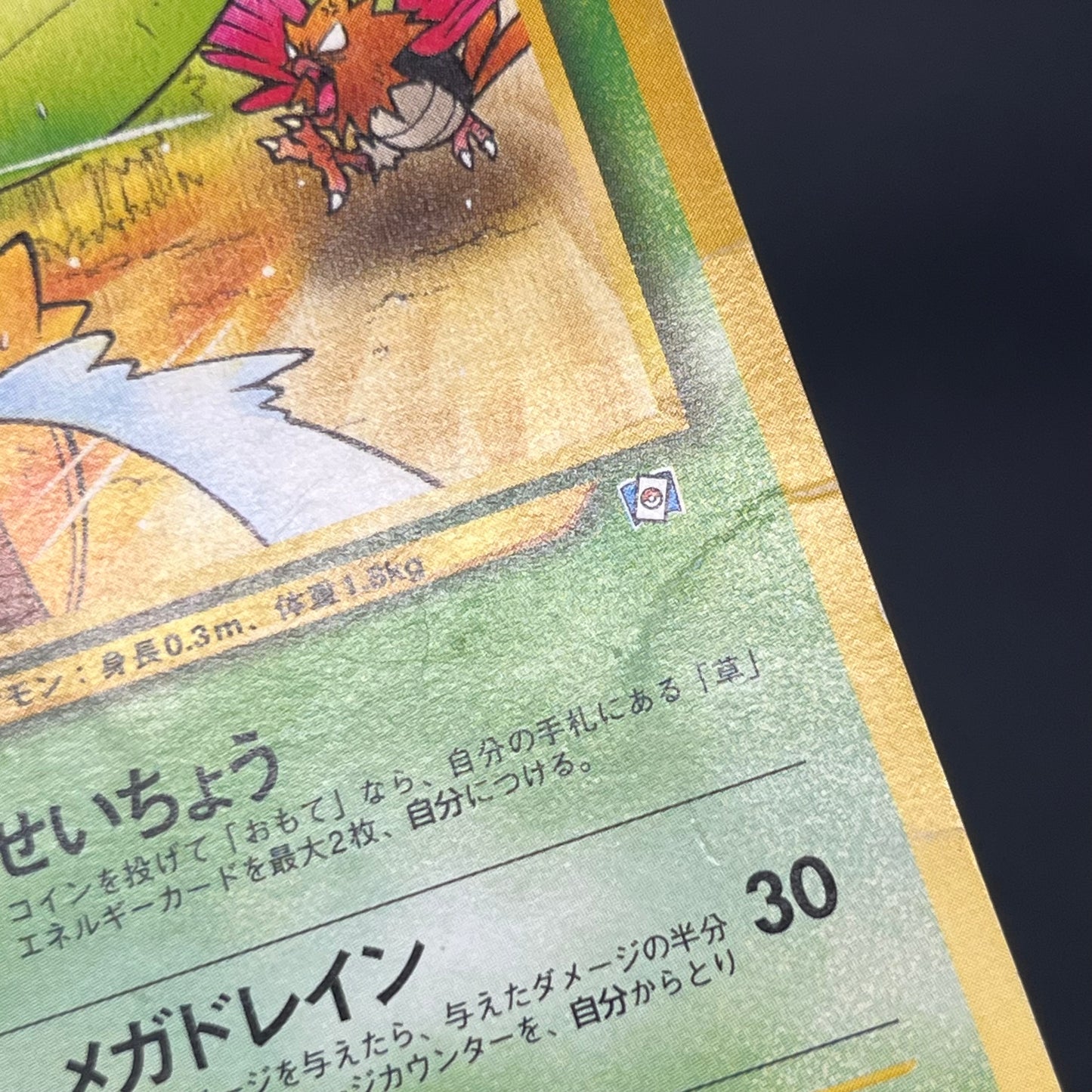 Sunkern 191 Natta Wake Vol.4 MP Promo Vintage Pokémon Card