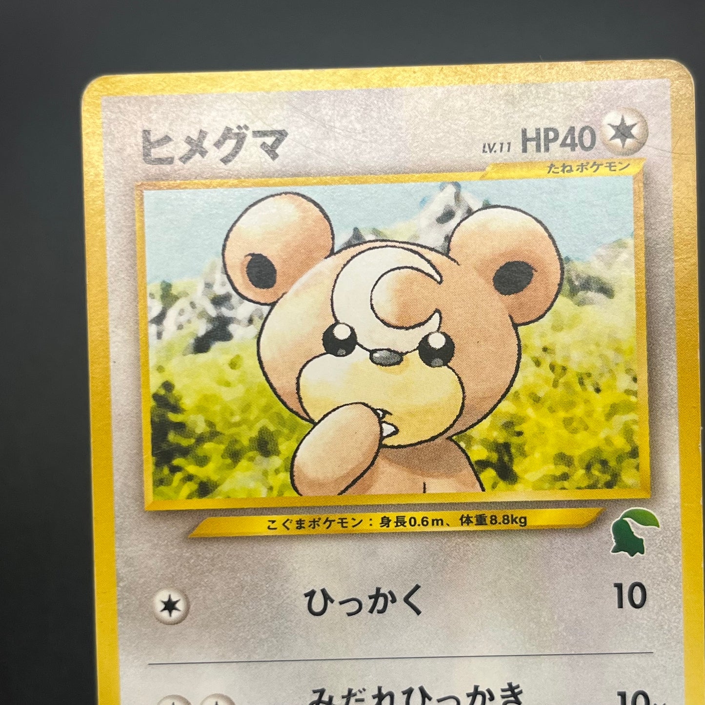 Teddiursa No. 216 Intro Pack Chikorita Deck Pokémon Card