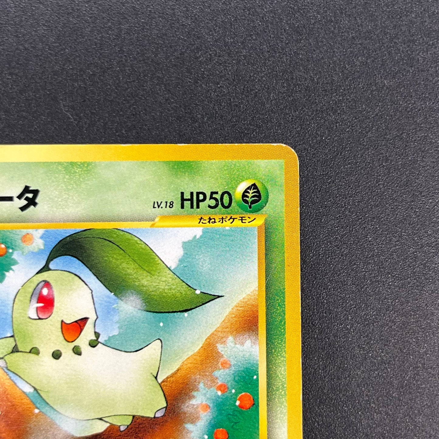 Chikorita No. 152 Intro Pack Promo Half Deck Pokémon Card