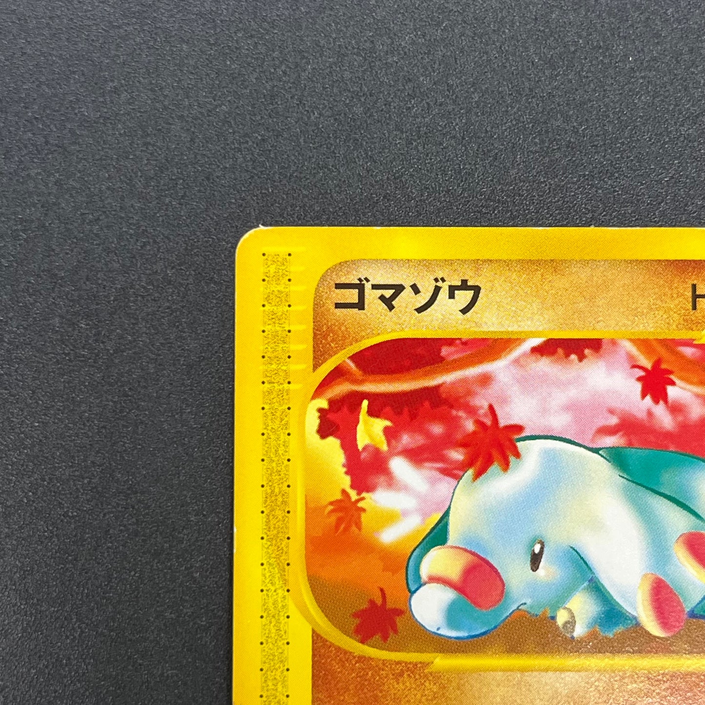 Phanpy 017/018 McDonald's Promo E-Series Pokemon Card